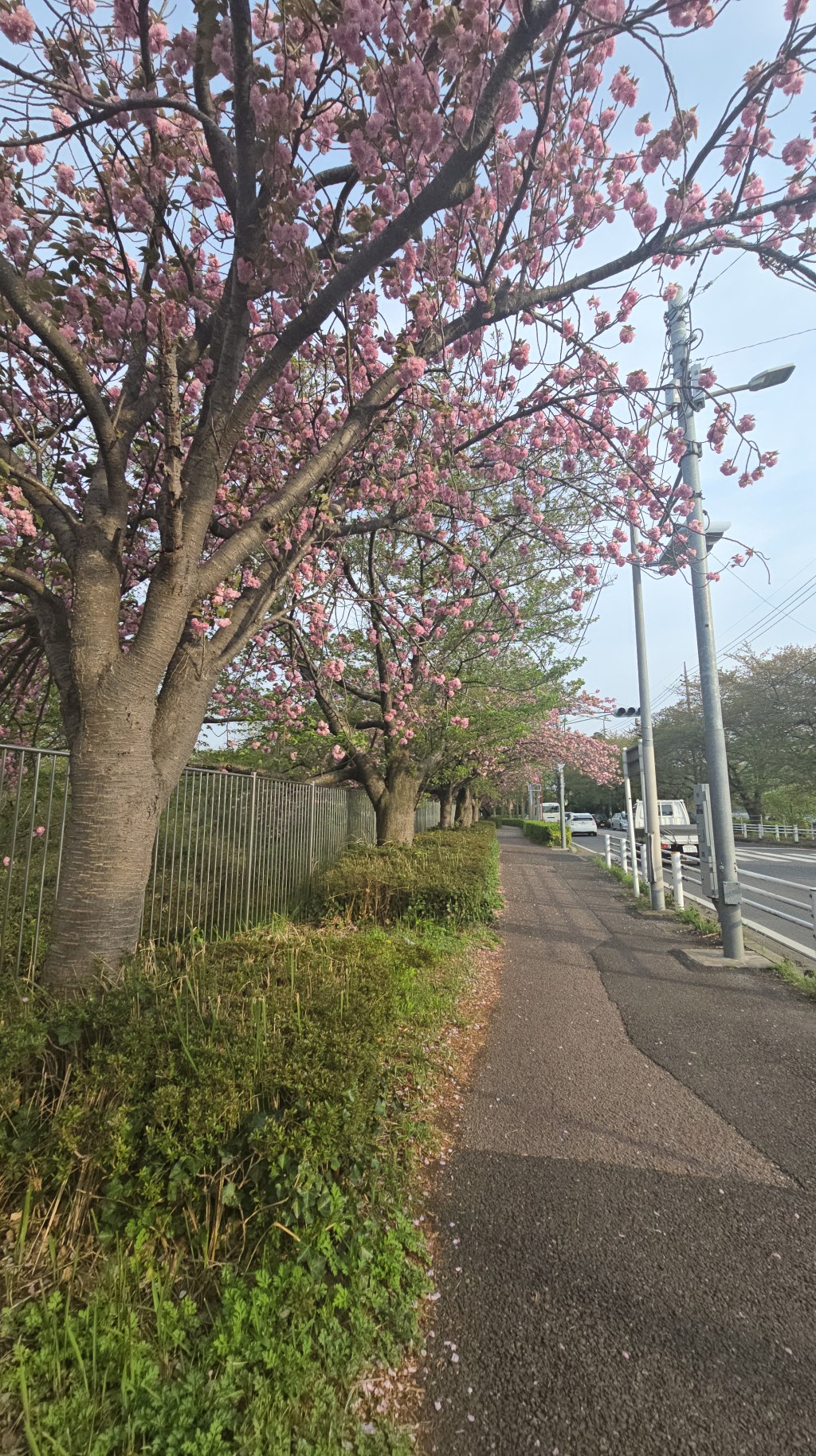 My Simple Self-Care&nbsp;Routine