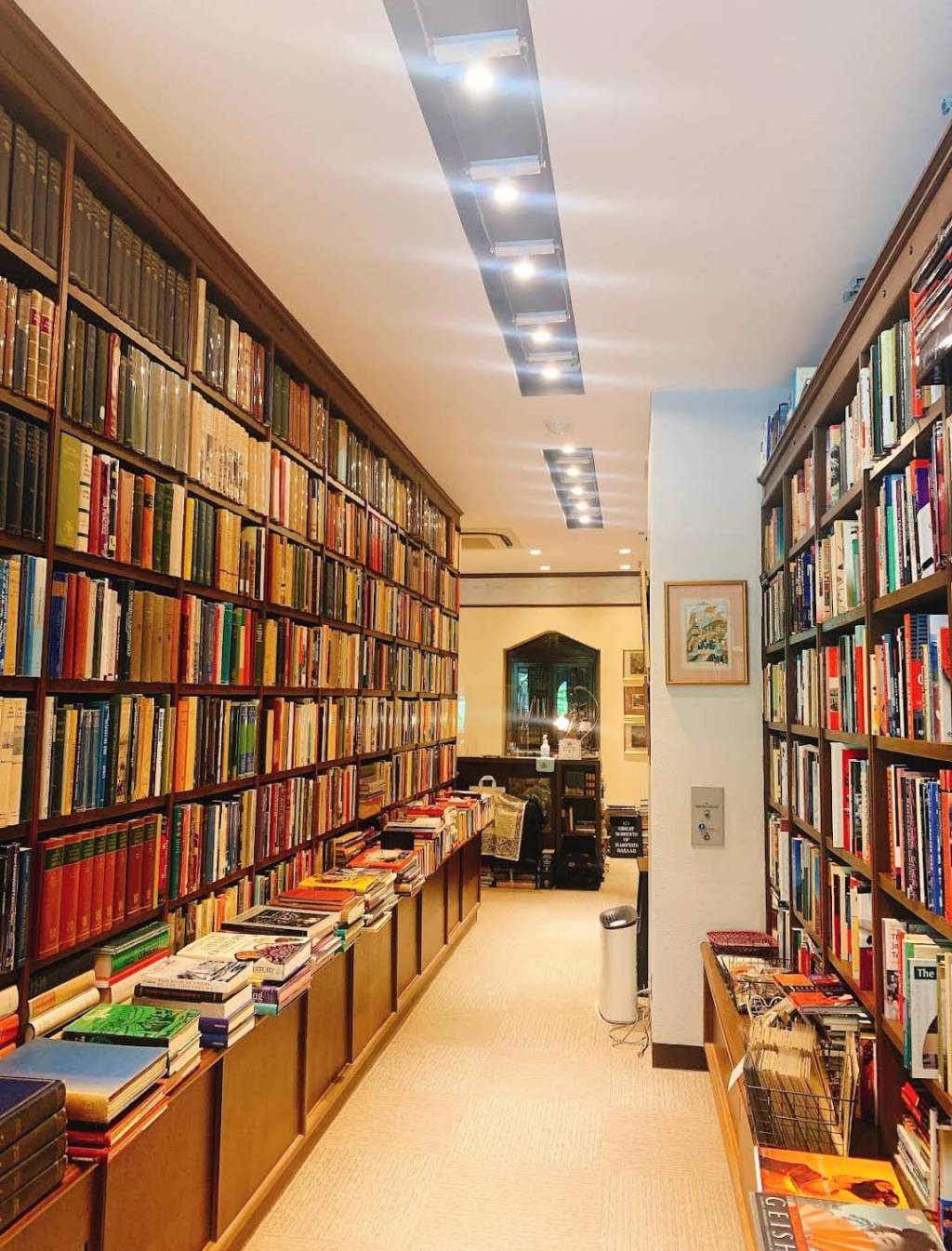 From Scribbles to Published&nbsp;Pages