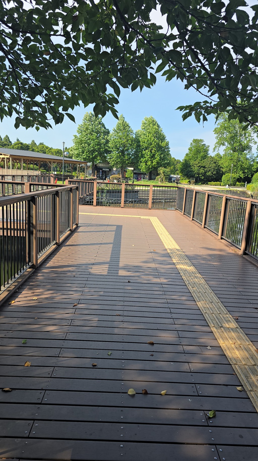 Learning Confidence From Someone Half My&nbsp;Size