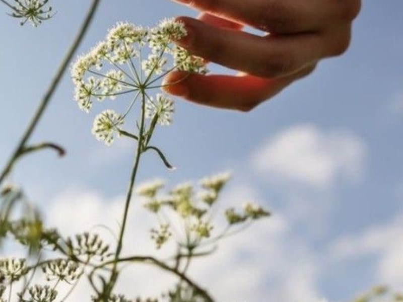 Rebellion Against Perfection