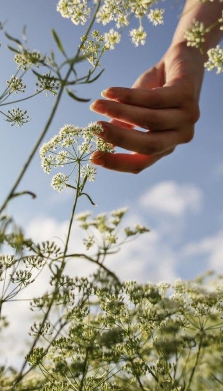 Rebellion Against Perfection