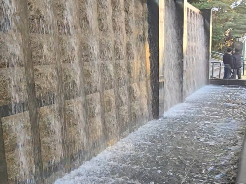 My Chronicles of Ueno&nbsp;Park