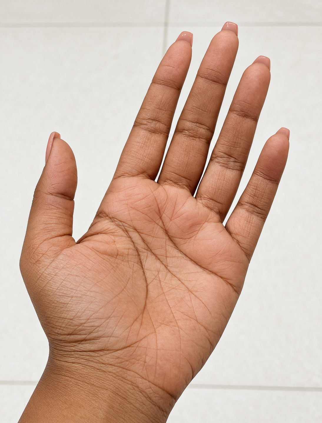 The Lines on Our Palms